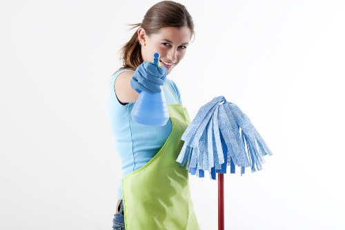 Professional home cleaners in TW10 providing domestic cleaning in a local home