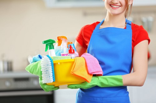 Professional cleaners in TW10 providing reliable home cleaning services
