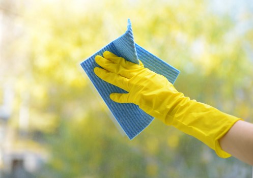 Detailed carpet care treatment in a TW10 home or office setting