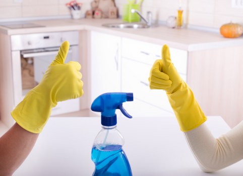 Deep oven cleaning service in TW10 removing grease and grime