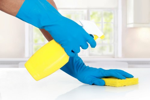 Domestic cleaners in TW10 focusing on bathroom and kitchen cleaning tasks