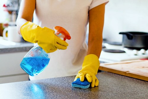 Supplier audit process for carpet cleaning business