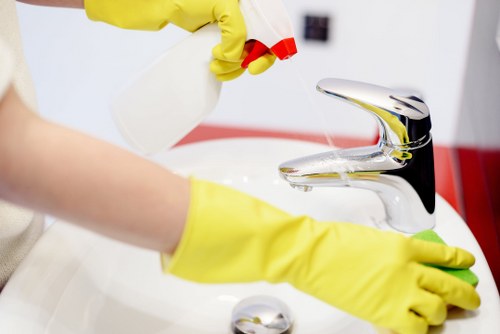 Professional rug cleaning equipment for TW10 properties