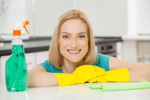 Upholstery cleaning process for a sofa in TW10