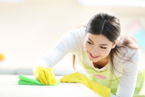 Kitchen deep cleaning details in TW10 property