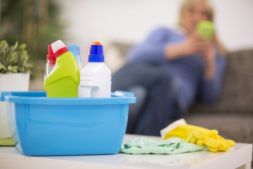 Whole-home deep cleaning in TW10 with attention to detail