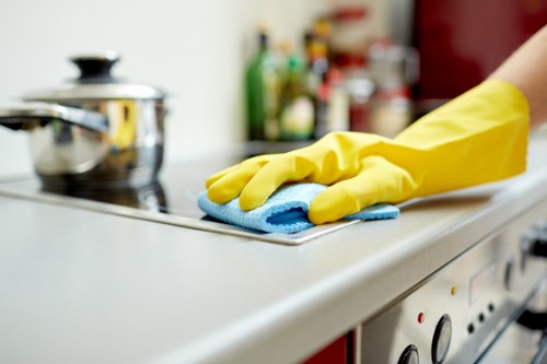 Weekly domestic cleaning schedule for a TW10 household