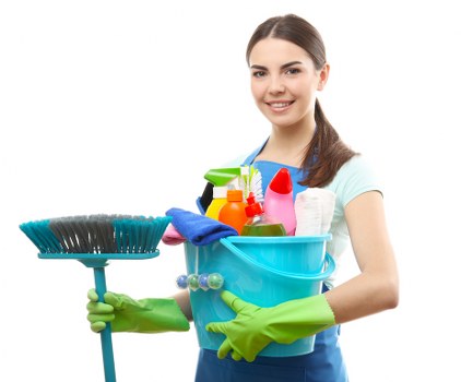 Accessibility request section for Carpet Cleaners TW10