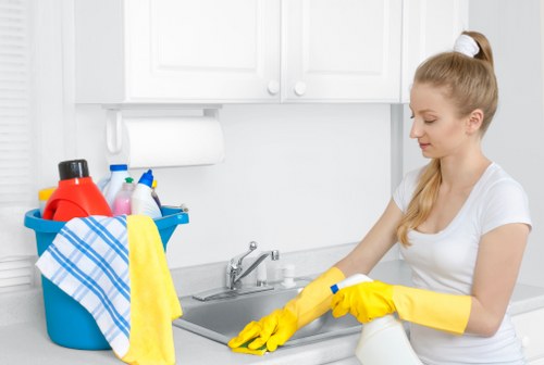 Regular window cleaning in TW10 for homes and businesses