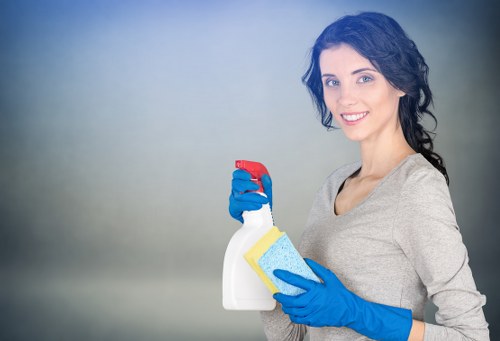 Local oven cleaning in TW10 for a hygienic cooking space